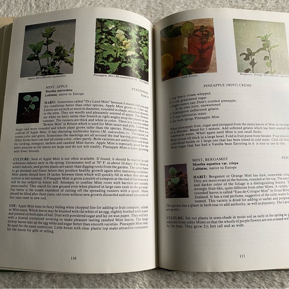 Parks Success With Herbs hardcover 1980 illustrated - Picture 5 of 10